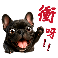 阿咪阿草職場日常