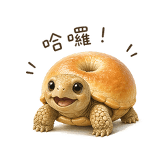 貝果龜の日常（超可愛療癒系）
