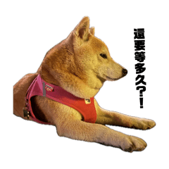 樟樹公園の大大