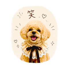 Niche_20260425000942