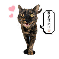 Unagi_20260425001152