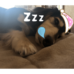 tmrmnm_20260425001854