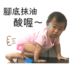 我家的猴孩子們