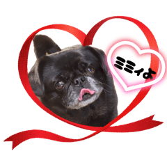 makki_20260424183624