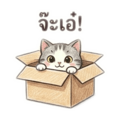 Sornpapha_20260424135909