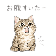 reg777_20260424223249