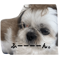 yumeka_20260424223535