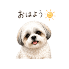 Smile_20260424223548