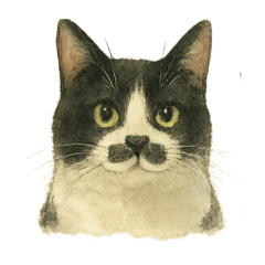 @5nalnal7_20260425004817