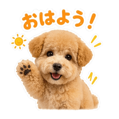 ryouta1980_20260425003951