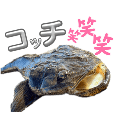 kotaoo_20260425004400