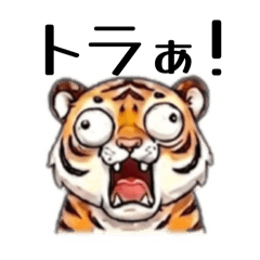 Shelly_20260425003940