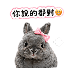 丟丟愛吃