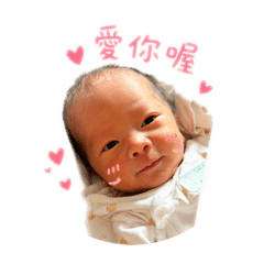 宸宸今天也很可愛