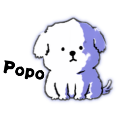 三小隻療癒日常