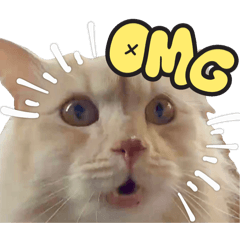 msndx_20260425021000