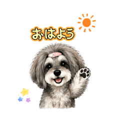 Schnauzer himasaku_20260425023603