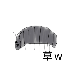 maropanda_20260425024110