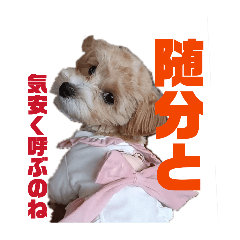 Charlotte1201_20260425024100