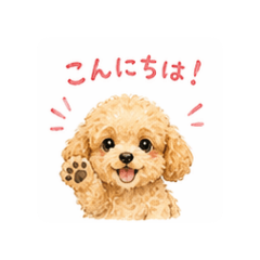 Ringo_20260425121404