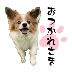 omusube_202604250204056