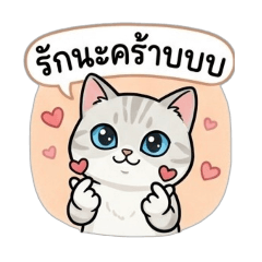 Pooklooks_20260424151216