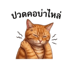 ampbox88_20260424152408