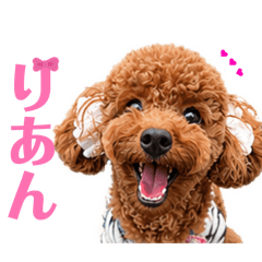 Aries_20260424231531