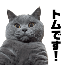 nichico_20260424231942