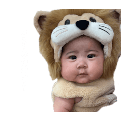 lilly_20260424232540