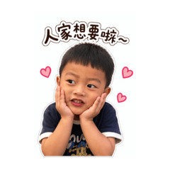 哥哥的實用貼圖