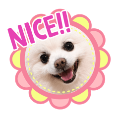 Minoの表情包(๑´ڡ`๑)