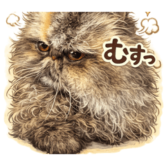 moriyume3374_20260425050330