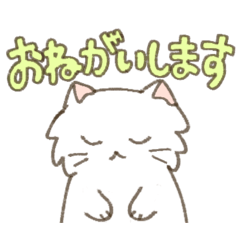 Kimuchi_20260425055410