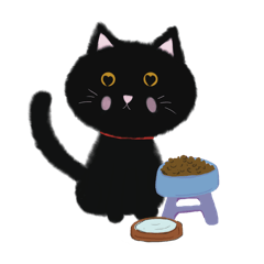 Black cat so cute anyway 01