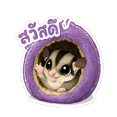 chompoo_20260424145233