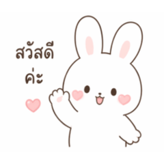 Sweet Bunny Customer Chat