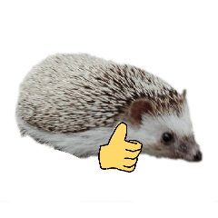 nicechanapat_20260424154410