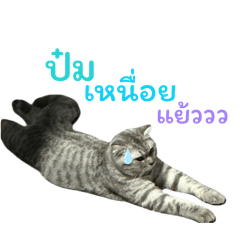 Chalam_20260424155535