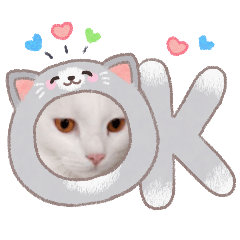 petcharat_20260424155539