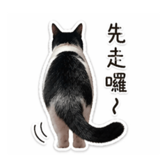 斗宅先生日常表情包