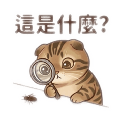 【摺耳貓奇奇】超犯規賣萌日常