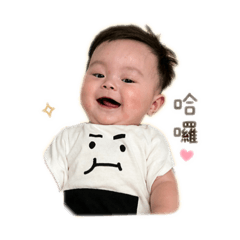 宸胖胖的貼圖