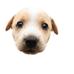 MewGTR_20260424162342