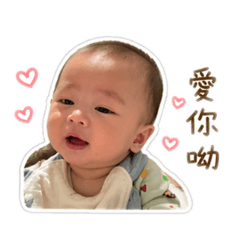 多寶多寶 大家的寶