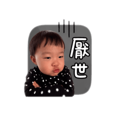 火龍果厭世日常