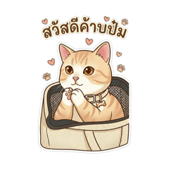 round orange cat_20260424174339