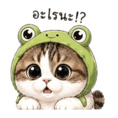 PPmayxm_20260424175202