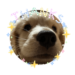 ayano_20260424235821