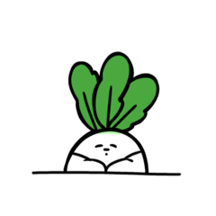 Sallu_20260425072811